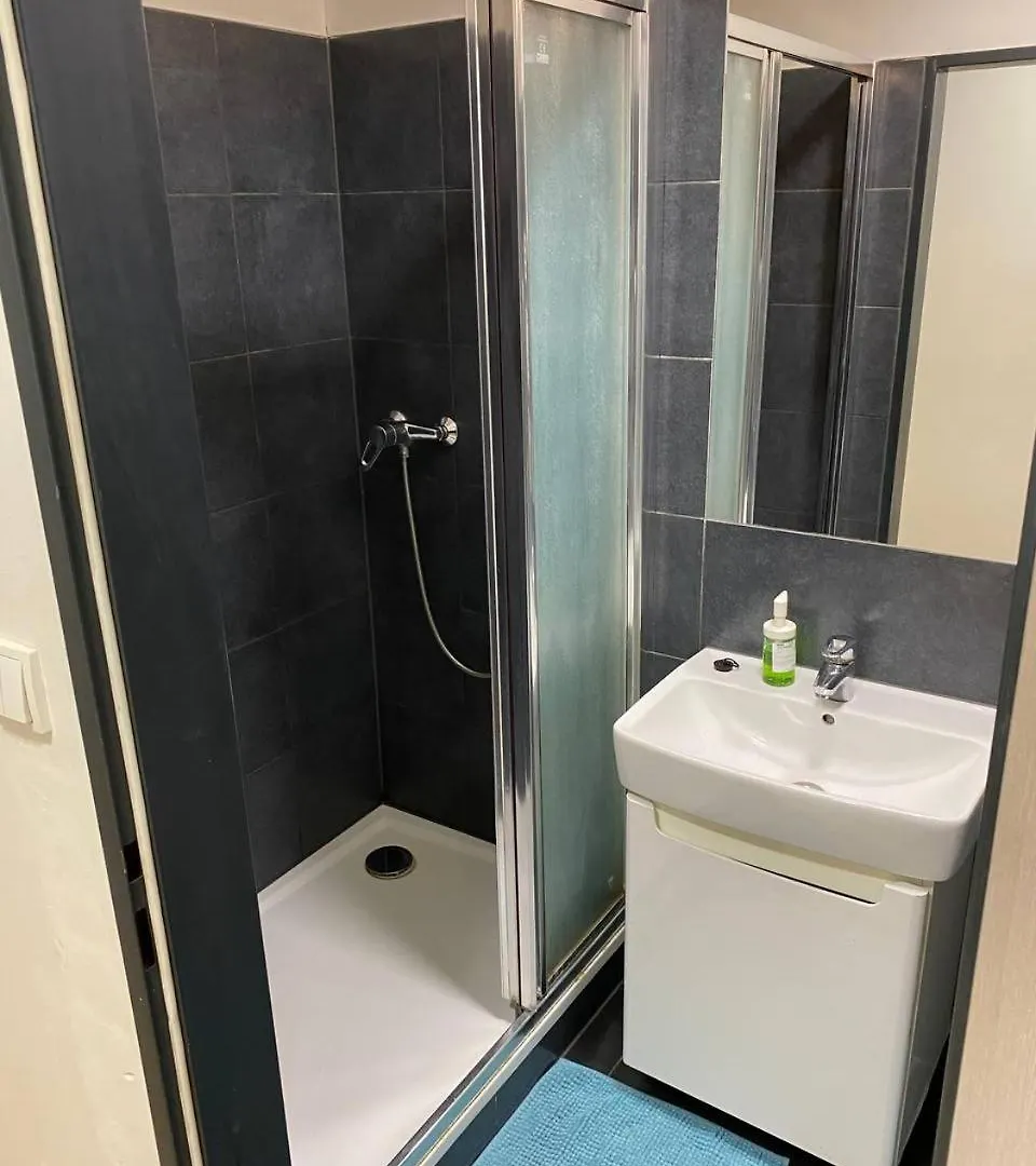 Apartmans With Parking Near City Center Brno Apartment